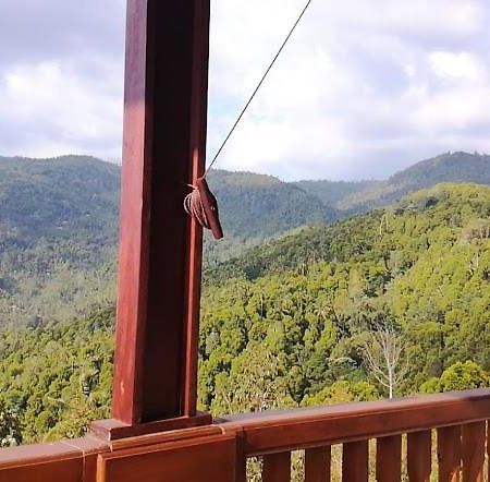 Maliana Homestay Munduk Εξωτερικό φωτογραφία